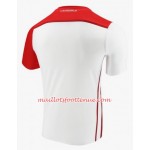 Maillot/Tenue Pérou Domicile Copa América 2019